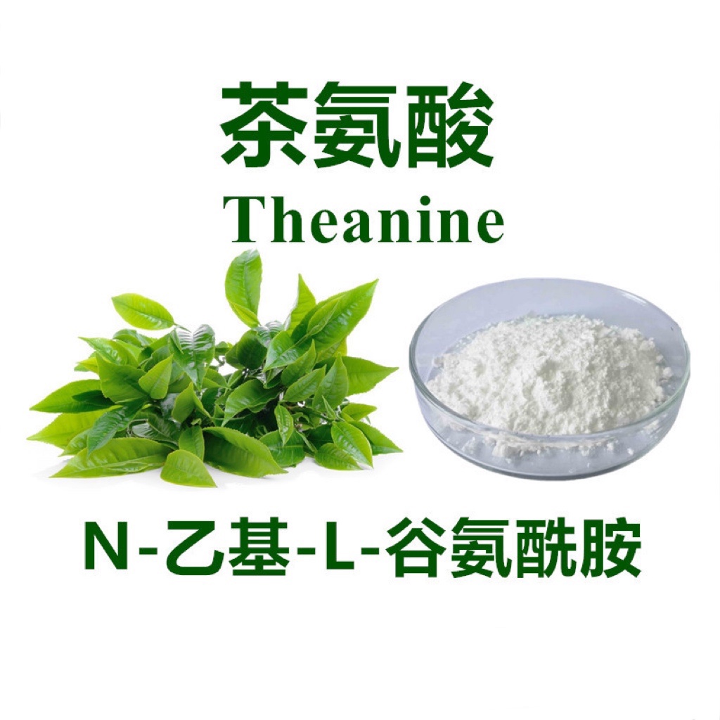 绿茶提取物 茶氨酸98%营养强化剂 L-谷氨酰胺100g厂家供应