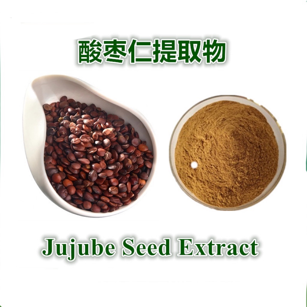 酸枣仁提取物10:1  酸枣仁皂甙 酸枣仁粉Spine Date Seed Extract