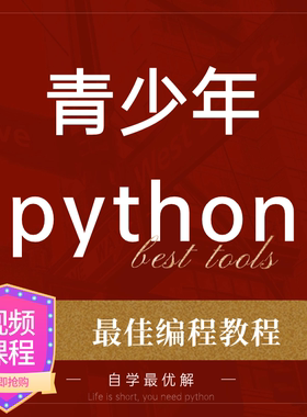 趣味python少儿编程课程课件教程青少年入门进阶全套视频小学初中