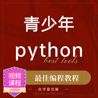 趣味python少儿编程课程课件教程青少年入门进阶全套视频小学初中