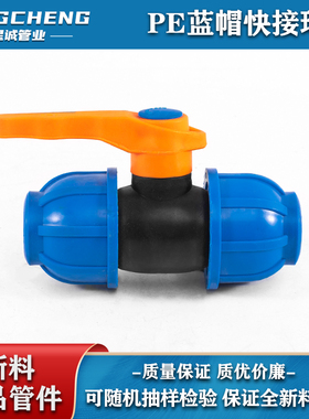 pe管快接球阀排水管道丝口钢芯铜芯塑料黑色免热熔阀门规格202532