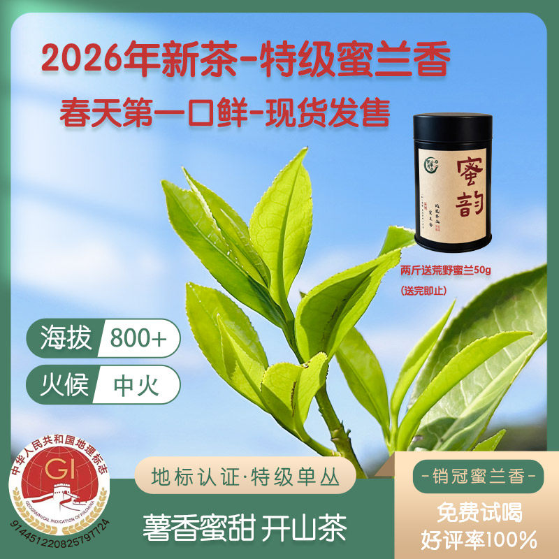 【现货新茶-2026特级蜜兰香】正春头采白叶薯香蜜甜凤凰单枞茶