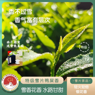 【2025特级雪片鸭屎香】雪香花香高扬冬茶仅5斤潮州凤凰单枞茶