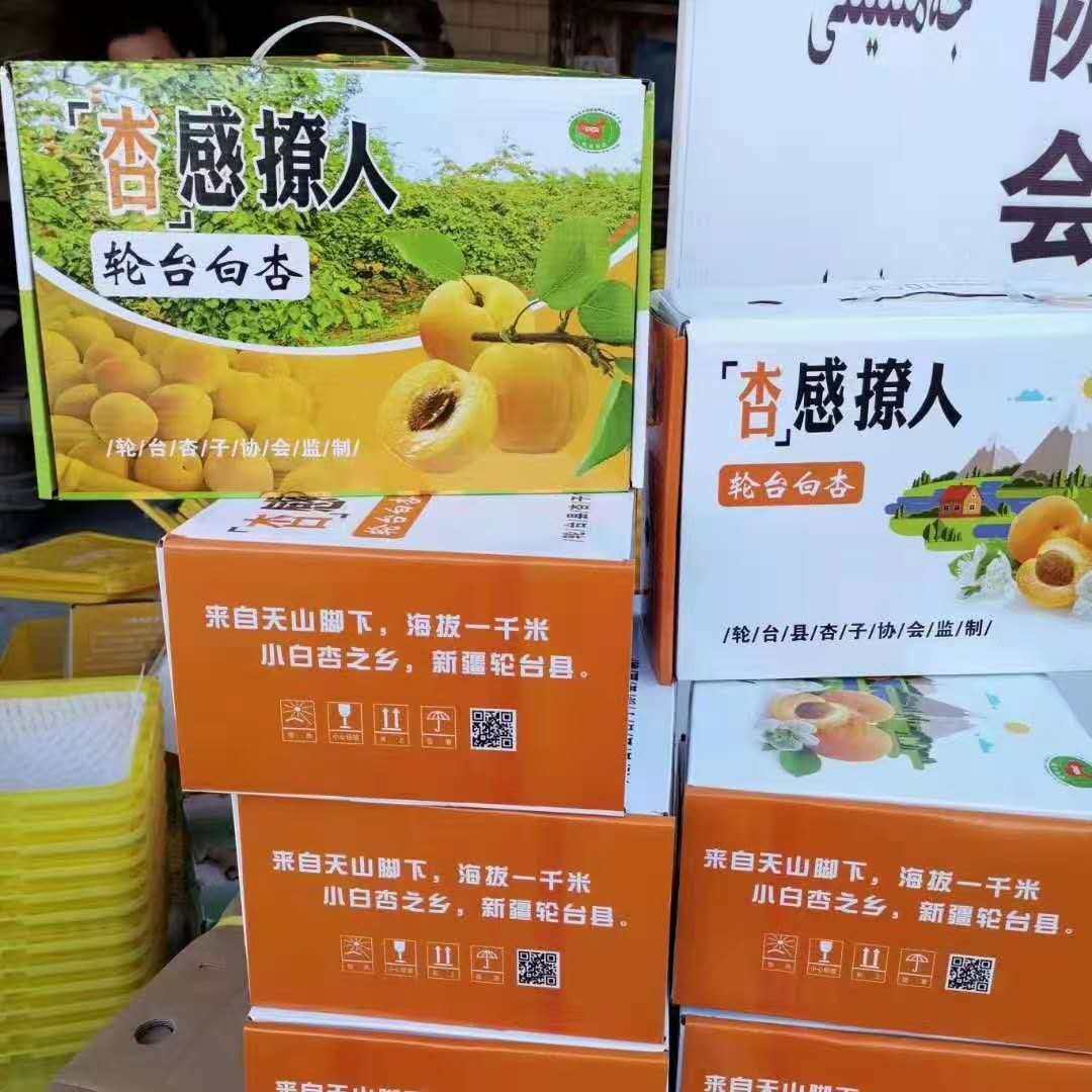 新疆轮台小白杏心动尝鲜季(2500g*1件)白杏航空包邮