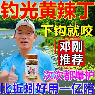 黄辣丁专用羊油颗粒饵料户外垂钓免打窝黄骨鱼昂公昂刺黄颡鱼饵料