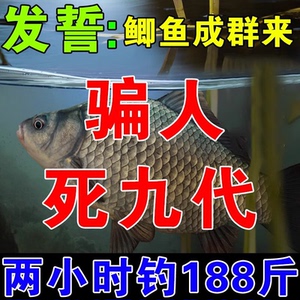 冬季鲫鱼专用钓鱼饵料主攻大板鲫鲤野钓黑坑溪流浓腥四季通用爆护