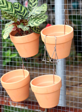 红陶花盆挂钩青山花盆挂钩墙壁围栏花盆钩子不锈钢多肉花卉盆挂钩