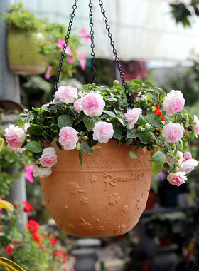 创意吊兰陶土吊盆红陶花盆悬挂垂吊花卉多肉绿植矮牛简约装饰花器