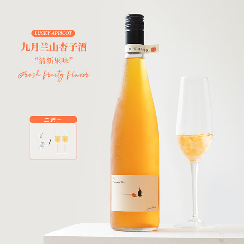 宁夏九月兰山杏好杏子酒发酵果酒