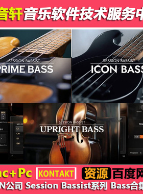 IN Session Bassist Bass 贝司合集 Icon/Prime/Upright/Jam Bass