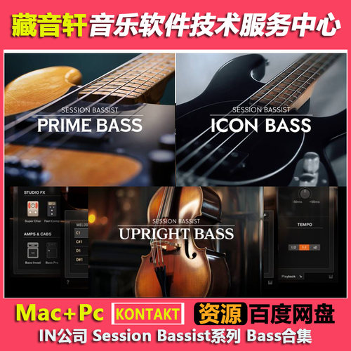 IN Session Bassist Bass 贝司合集 Icon/Prime/Upright/Jam Bass