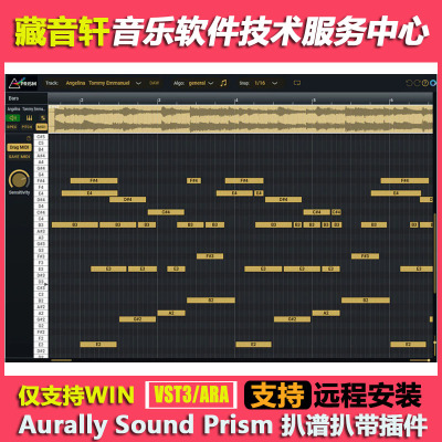 Aurally Sound Prism v1.1.01扒谱扒带 音频转换MIDI音符识别插件