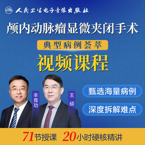 颅内动脉瘤显微夹闭手术典型病例荟萃朱贤立人卫音像医学培训课程