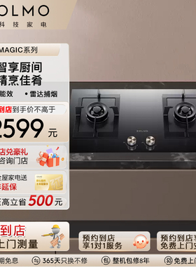 COLMO【预约到店】双头燃气灶可调节嵌入式5.2KW火力烟灶灶具EF2