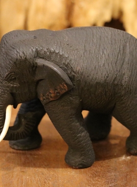 泰流行木招财东南亚客厅