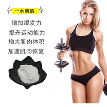 500克一水肌酸健身增肌粉提高耐力1