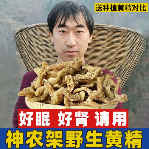 神农架野生黄精干货500中药材可泡酒泡茶养生非九华山九蒸九晒黄