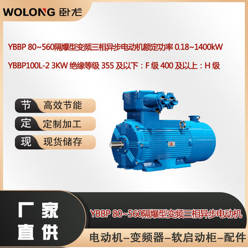 YBBP100L-2/3KW绝缘等级F/H级