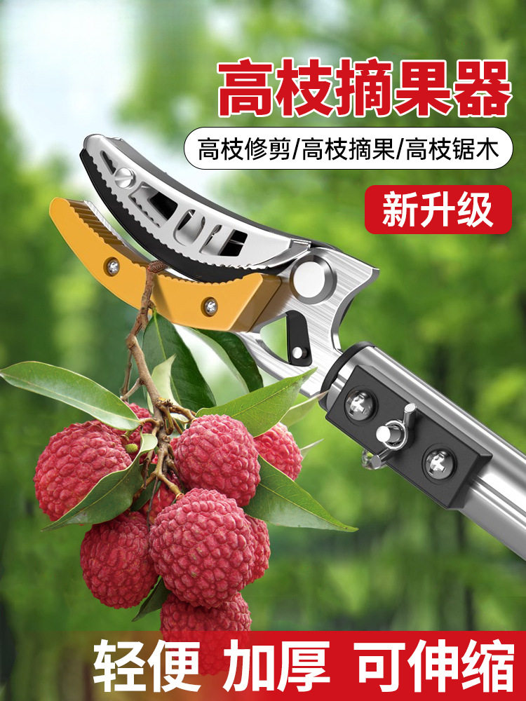 摘酸枣采摘水果荔枝芒果龙眼伸缩杆高空剪果树修剪高枝剪