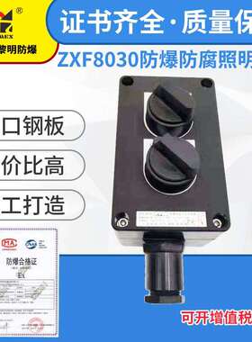 ZXF8030-K2防爆防腐照明开关上海新黎明10A IIC级 双联 双控