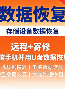 电脑硬盘数据恢复照片视频文件U盘sd卡优盘损坏系统修复资料远程