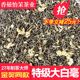 广西横县茉莉花茶特级浓香型2025新茶银针大白毫散装 绿茶 袋尝鲜款