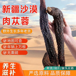 新疆塔克拉玛干荒漠油肉苁蓉整根锁阳 整根包邮