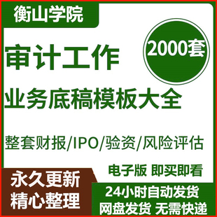 整套财报IPO验资等业务审计工作底稿模板大全编制指引word资料