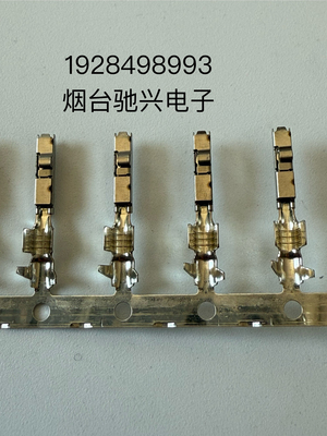 BOSCH博世连接器1928498993端子