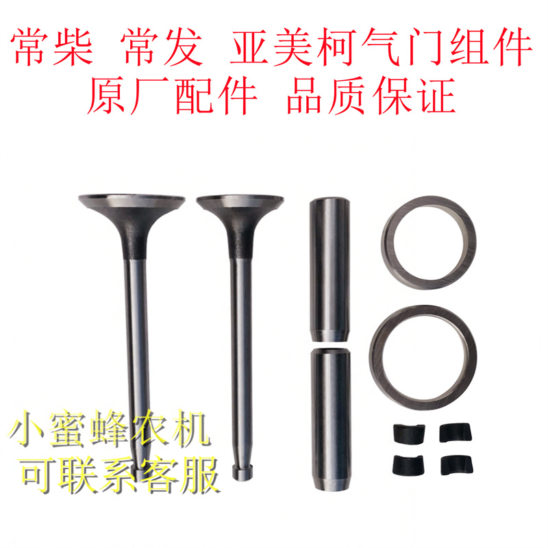 常柴常发亚美柯ZS1115/L24/28H36CF25/28/36/40气门组合件原厂件