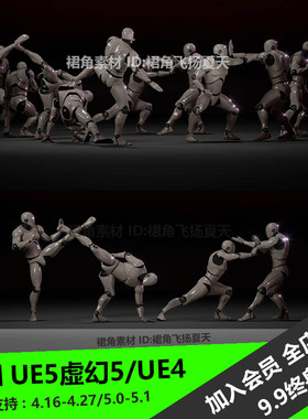 UE5虚幻4 中国功夫战斗动画包Combat animations - Kung fu V1
