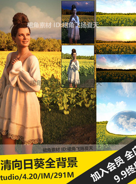 DAZ3D Studio 自然向日葵田地全景HDRI背景白天傍晚 游戏3d素材