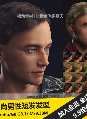 DAZ3D Studio 男性时尚短发烫发波浪纹头发发型模型 游戏3d素材