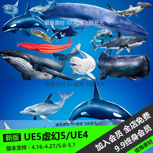 UE5虚幻4 大型海洋生动物角色模型包鲸鱼海豚鲨鱼乌贼 游戏3D素材