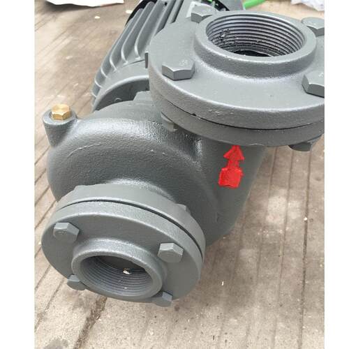 新款台湾款卧式离心泵管道循环泵L-40 L-50L-65卧式循环泵0.7包邮