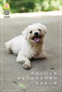 爱之家2025年定制7月感恩卡片。