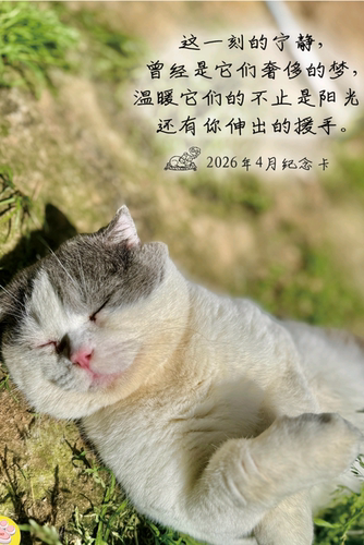 爱之家2026年定制4月感恩卡片。