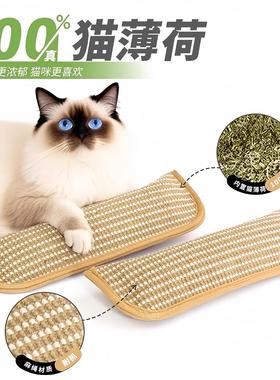 Cat toy, catnip pillow for self-entertainment, teething, dur