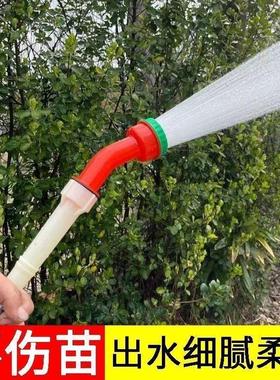 Agricultural cauliflower sprinkler for garden watering, gree