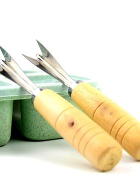 Naguo Home Use Stainless Steel Pineapple Corer V-Shaped Seed