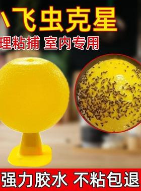 Wholesale Fly Traps - Sticky Balls for Indoor Pest Control i