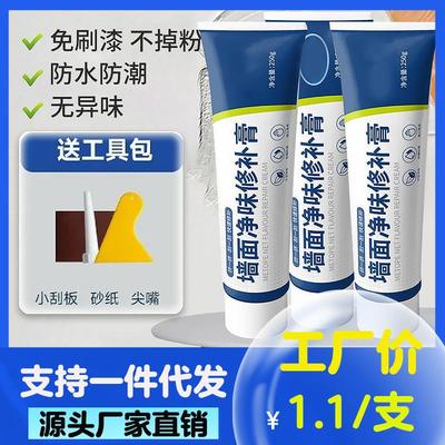 Wall Repair Paste - Odorless Wall Filler, White, Waterproof,