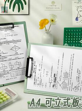 Standing A4 File Folder for Students - High Aesthetic, Thick