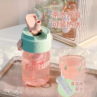 New Large Capacity Portable Tea Infuser Water Bottle - Aesth