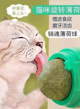 Catnip balls, cat toys for self-entertainment and boredom re