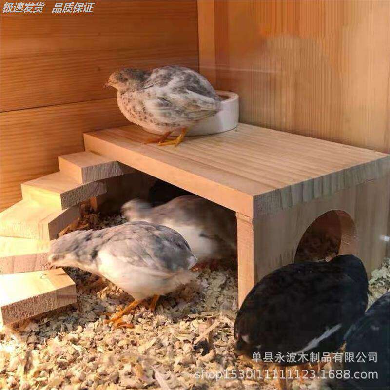 芦丁鸡小屋造景喂食平台装饰仓鼠