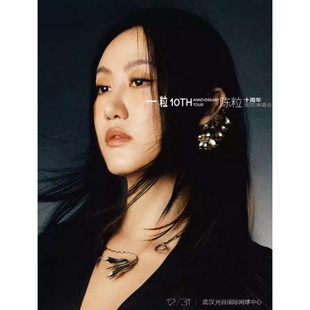 2025陈粒「一粒」十周年巡回演唱会 武汉站