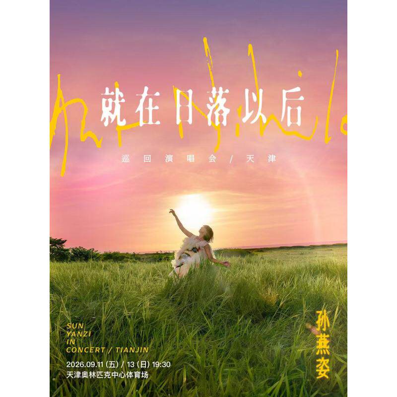 【天津】天津孙燕姿演唱会门票孙燕姿天津演唱会2026录入代拍 - 实物图