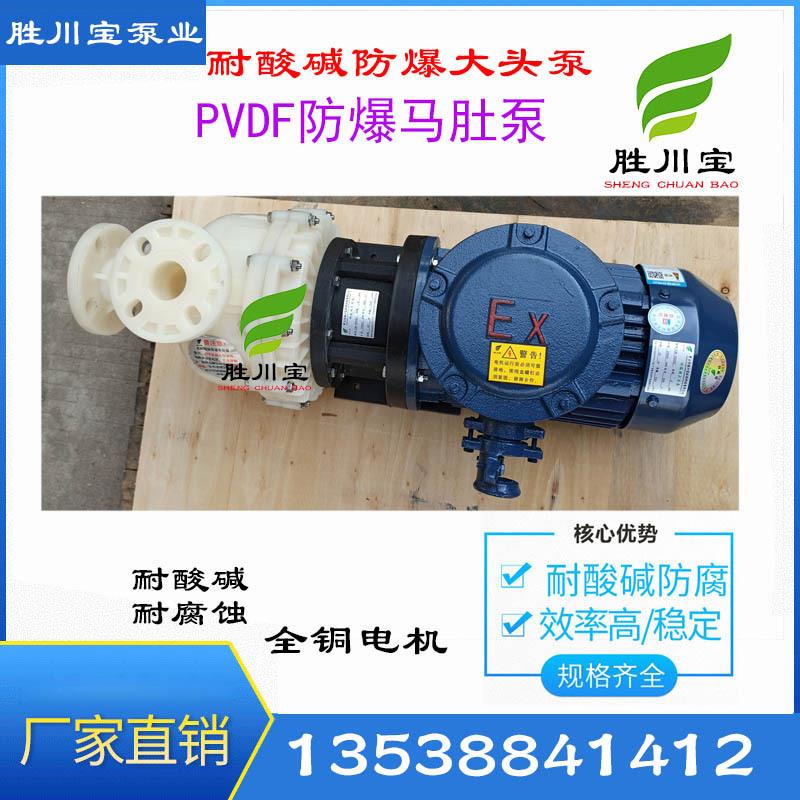 新款PVDF氟塑料自吸泵 大流量耐酸碱自吸泵 防爆大头泵 马肚包邮