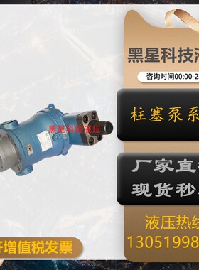 新款上海邵扬10/16/25/32/40/63/80/100/160/250YCY14-1B轴向现货